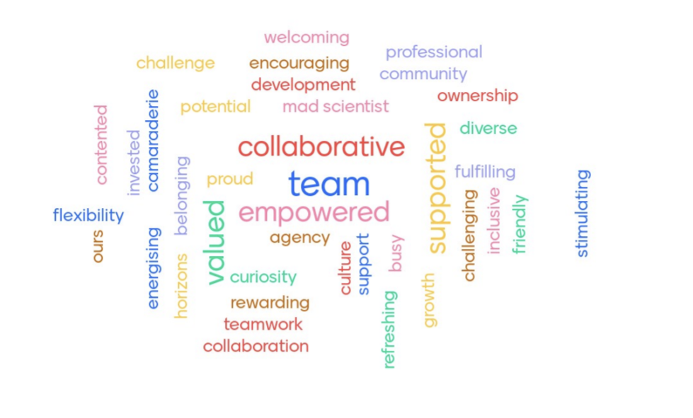 Word cloud generated by Scitech staff to mark EO Day